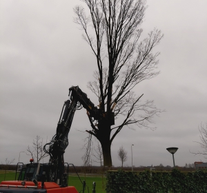 Wegtillen van haagbeuk met mobiele kraan en sorteergrijper  - Hoveniersbedrijf C.K. van Mourik Buurmalsen, West-Betuwe, Buren, Tiel, Beusichem, Culemborg, Meteren, Tricht, Deil, Asch, Zoelen, Zoelmond, Avezaath, Erichem, Geldermalsen,