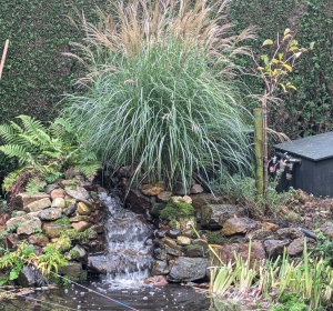 Natuurlijke waterval gemaakt van rubberfolie, keien en cement. Watercirculatie met beeklooppomp  - Hoveniersbedrijf C.K. van Mourik de hovenier voor West Betuwe, Tiel, Culemborg, Geldermalsen, Buren