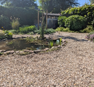 Renovatie van een natuurlijke vijver met randafwerking oeverplanten, zwerfkeien en grind - Hoveniersbedrijf C.K. van Mourik de hovenier voor West Betuwe, Tiel, Culemborg, Geldermalsen, Buren