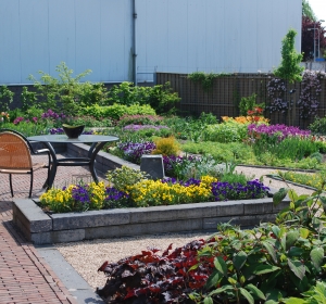 Bloeiende borders plantentuin - Hoveniersbedrijf C.K. van Mourik