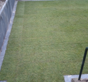 Gazon afgewerkt met betonband van 15 cm breed. Makkelijker grasmaaien en geen kanten knippen - Hoveniersbedrijf C.K. van Mourik