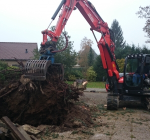 Boomstronk verwijderen met midikraan - Hoveniersbedrijf C.K. van Mourik