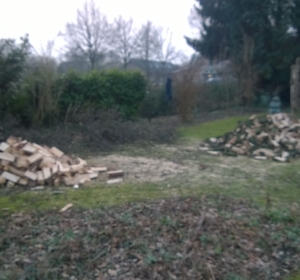 Zagen en kloven van bomen tot kachelhout. Van eigen hout krijg je het niet koud - Hoveniersbedrijf C.K. van Mourik