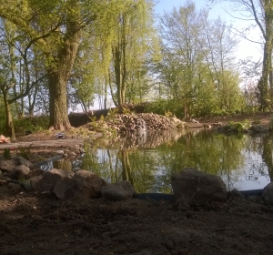 Vijver met waterval  - Hoveniersbedrijf C.K. van Mourik