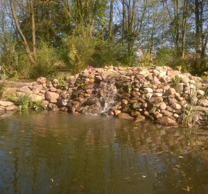 Grote vijver met waterval  - Hoveniersbedrijf C.K. van Mourik