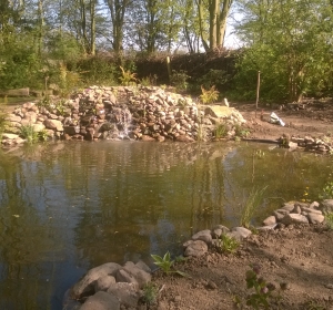 Vijver met waterval  - Hoveniersbedrijf C.K. van Mourik