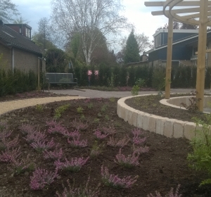 Heidetuin in combinatie met vaste planten  - Hoveniersbedrijf C.K. van Mourik