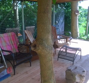 Natuurlijke uitstraling door gebruik van boomstammen - Hoveniersbedrijf C.K. van Mourik