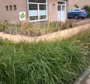 Border beplant met combinatie van grassen en vaste planten - Hoveniersbedrijf C.K. van Mourik