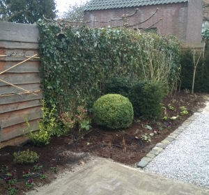 Gemengde plantenborder - Hoveniersbedrijf C.K. van Mourik