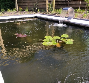 Vijver met waterlelie's, zuurstofplanten en filtersysteem. Hoveniersbedrijf C.K. van Mourik