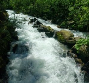 Natuurlijke waterval als voorbeeld - Hoveniersbedrijf C.K. van Mourik Geldermalsen Tiel Culemborg
