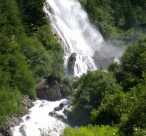 Waterval - Hoveniersbedrijf C.K. van Mourik Geldermalsen Tiel Culemborg