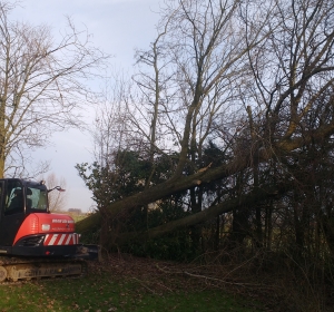 Omgewaaide bomen opruimen met midi-kraan - Hoveniersbedrijf C.K. van Mourik Geldermalsen