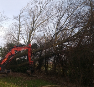 Stormschade opruimen met midi-graver met sorteergrijper - Hoveniersbedrijf C.K. van Mourik Geldermalsen