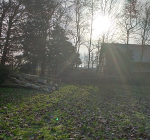 Snoeihout versnipperen en dik hout verzagen tot kachelhout - Hoveniersbedrijf C.K. van Mourik Geldermalsen