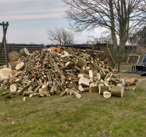 Boomstammen kortgezaagd tot kachelhout - Hoveniersbedrijf C.K. van Mourik Geldermalsen Tiel Culemborg