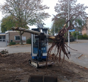 Boom rooien met minigraver Hoveniersbedrijf C.K. van Mourik Geldermalsen - Tiel - Culemborg