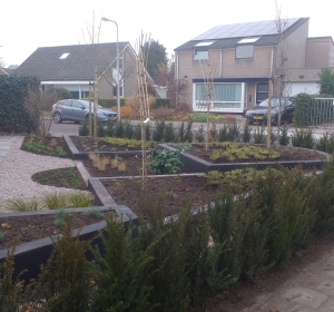 Verhoogde borders ingeplant Hoveniersbedrijf C.K. van Mourik Geldermalsen - Tiel - Culemborg