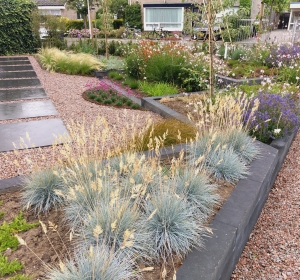 Vaste plantenborders  - Hoveniersbedrijf C.K. van Mourik West-Betuwe Geldermalsen Tiel Culemborg